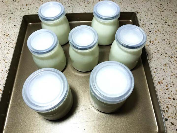 Kos i freskët i fermentuar në mënyrë të shpejtë duke përdorur makinerinë tregtare të kosit