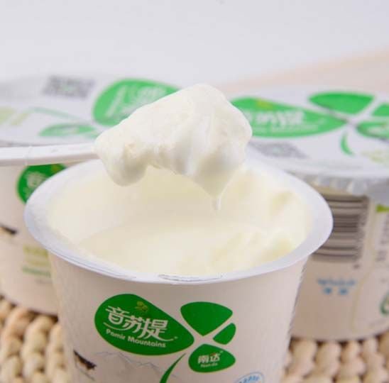 Solid yogurt made by yogurt maker
