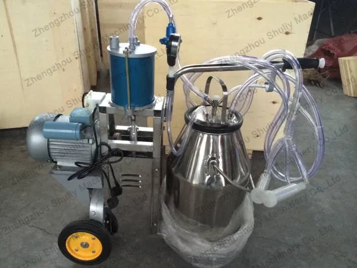 Cow milker with stainless steel milking bucket