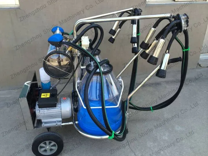 Milking machine with transparent milking bucket